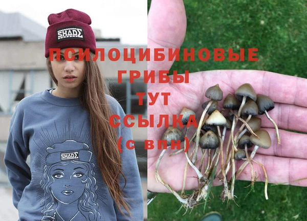 гидра Белоозёрский
