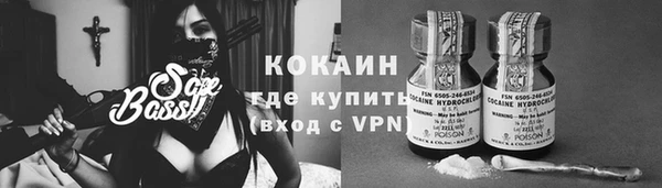 гидра Белоозёрский