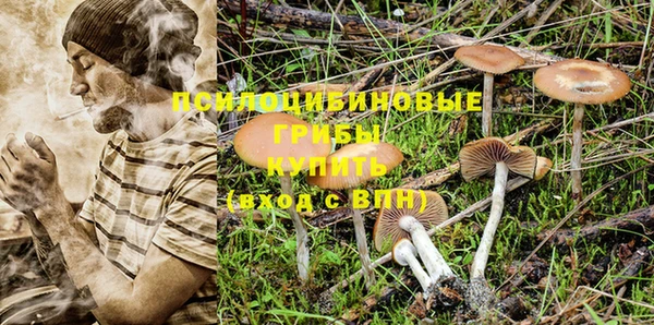 твердый Белокуриха