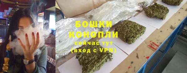 трава Беломорск