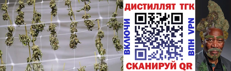 ТГК THC oil  Кондрово 