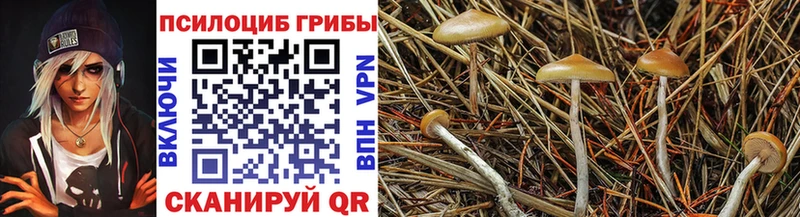 KRAKEN ССЫЛКА  Кондрово  Галлюциногенные грибы ЛСД 